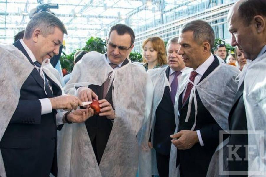 В Татарстане прибыль тепличного комбината «Майский» от продажи овощей и ягод составила 477 млн рублей в 2014 году