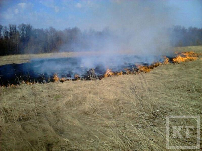За три дня пожарные выезжали на тушение сухой травы и мусора в Нижнекамске 23 раза