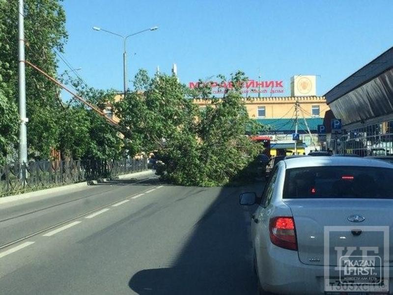 В Казани напротив ТЦ «Муравейник» упало дерево, оборвав трамвайные провода
