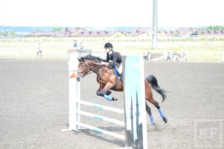 Двух жительниц Татарстана травмировали лошади сегодня на соревнованиях по конному спорту в Бугульме и Елабуге
