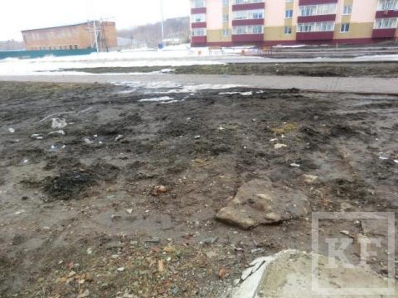 Из-за грязи на улицах жители Лениногорска просят чиновников научить их летать