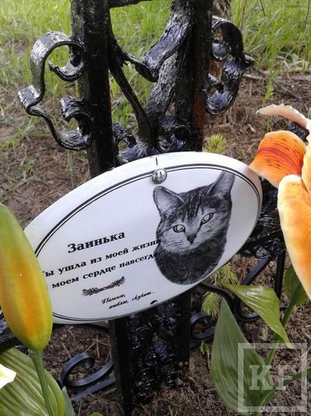 В Казани демонтировали могилу кошки, обнаруженную в парке Победы
