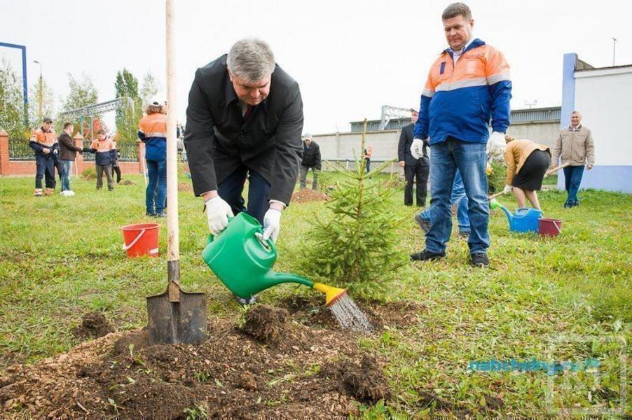 И.о. руководителя исполкома Набережных Челнов Наиль Магдеев посадил свою первую елку в автограде