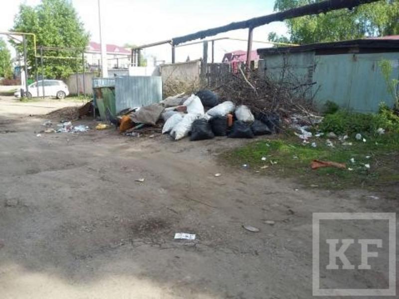 На одной из улиц Бугульмы не убирают мусор три месяца — «Народный контроль»