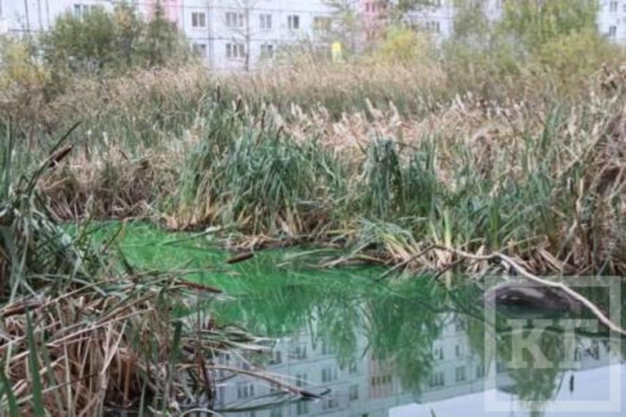 В Казани из-за сточных вод позеленело озеро — минэкологии