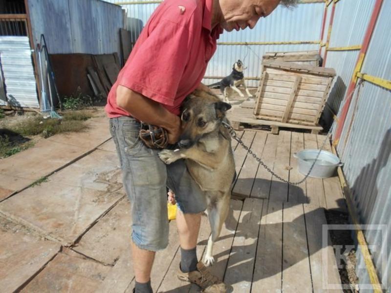 Владелец приюта в Ковалях Фидаиль Утяганов: «Если мне не дадут жить с животными, я выйду на площадь Свободы, оболью себя бензином и подожгу. Я это сделаю»