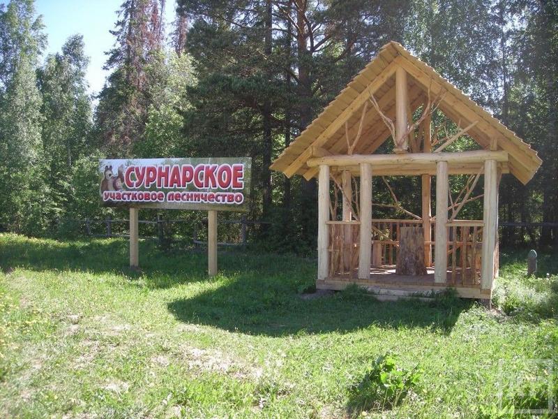 130 крытых беседок будут установлены в лесах Татарстана