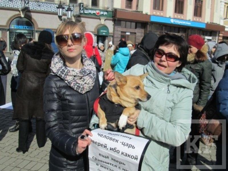 Казанцы сказали «нет» убийствам животных
