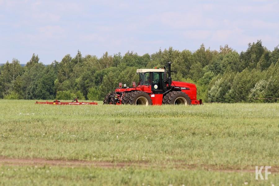 Половину урожая аграриев Татарстана забрала засуха