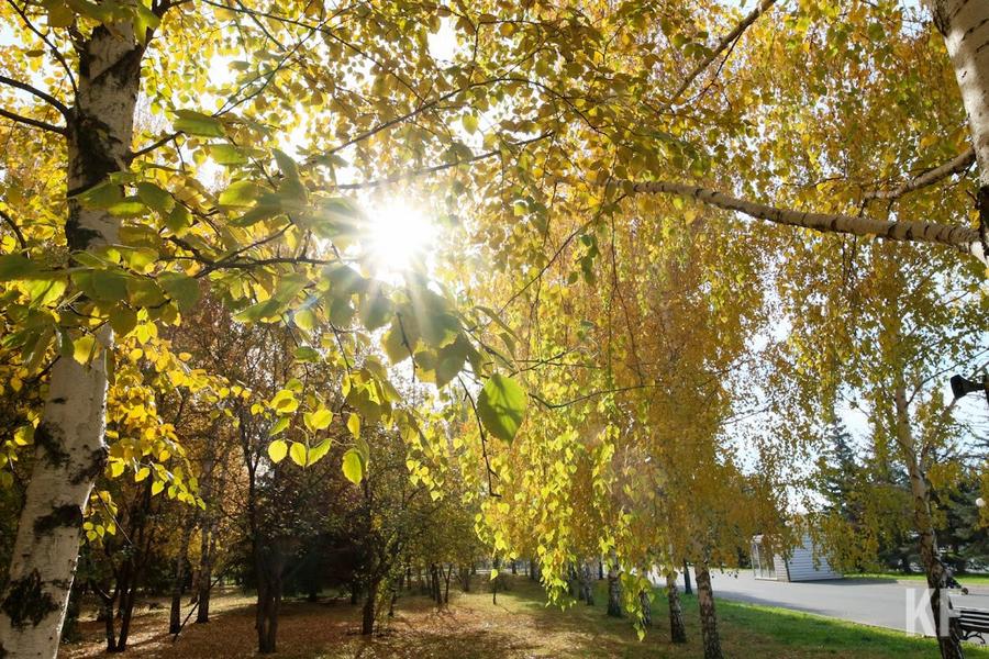 «Никогда так быстро температура не менялась»: какая погода ожидает Татарстан в новогодние праздники