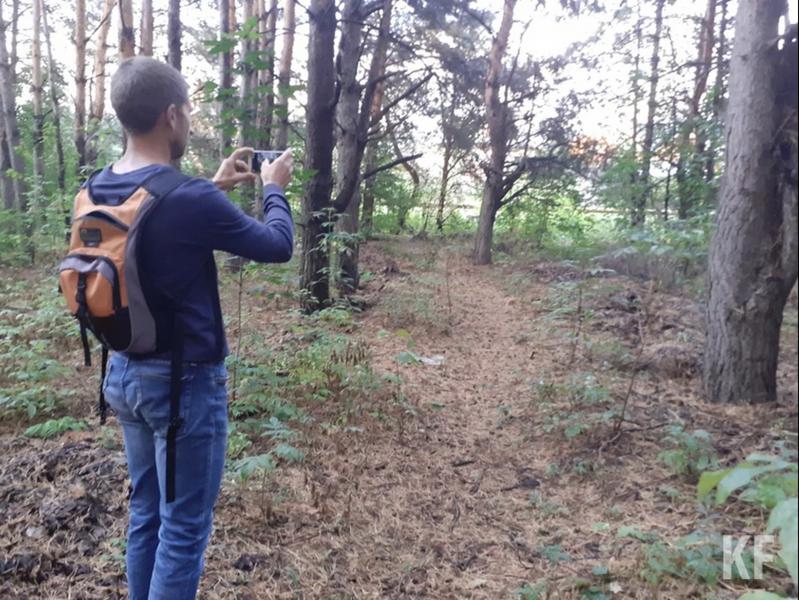 Шильнинский лес растаскивают по кусочкам в частную собственность