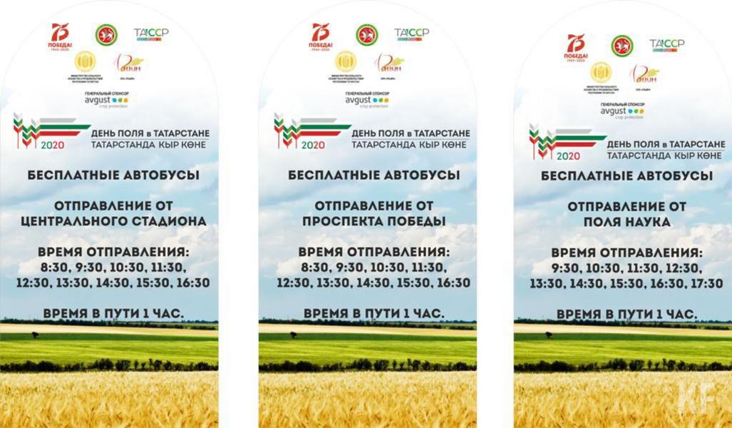 Выставка «День поля» пройдет под открытым небом в Лаишевском районе
