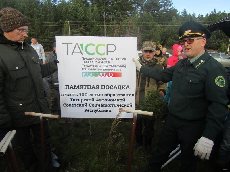 Челнинские активисты не дали бизнесмену построить базу отдыха и высадили лес