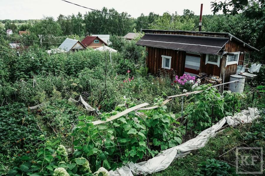 В Татарстане объявили о старте программы софинансирования садоводов