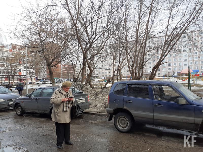 Опасный американский сорняк захватывает челнинские дворы