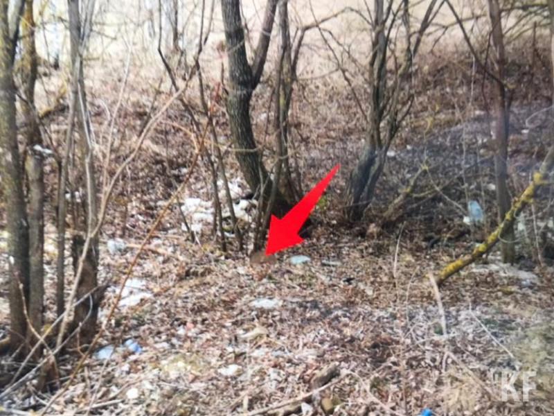 Казанские полицейские задержали наркосбытчика, проверяя смс-пропуск