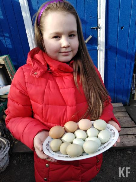 В Татарстане к Пасхе куры начали нести голубые и зеленые яйца