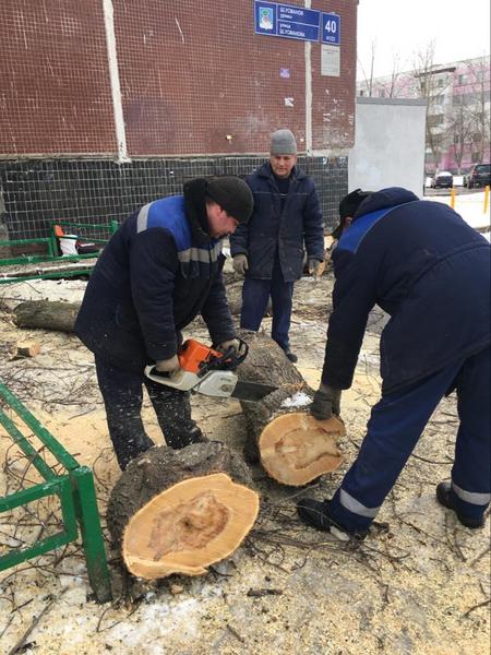 В Набережных Челнах управляющая компания сама себе соорудила троянского коня