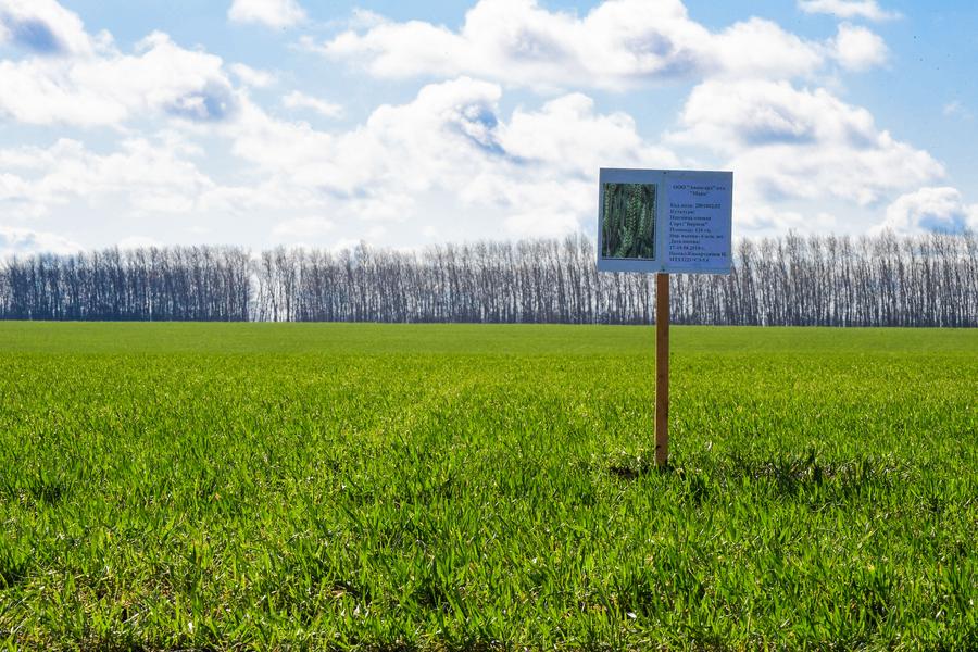 Марат Зяббаров: Татарстан полностью обеспечен основными видами продуктов Марат Зяббаров: Татарстан полностью обеспечен основными видами продуктов
