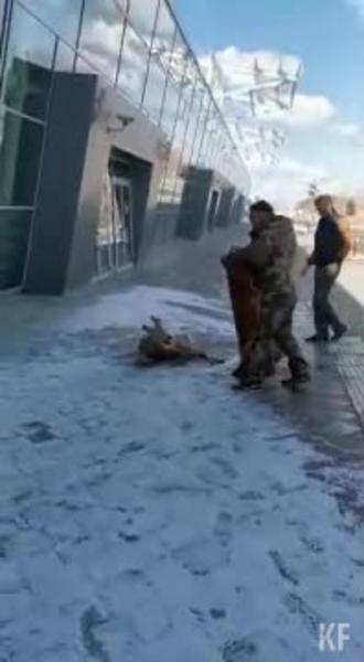 В казанский аэропорт прибежала настоящая косуля