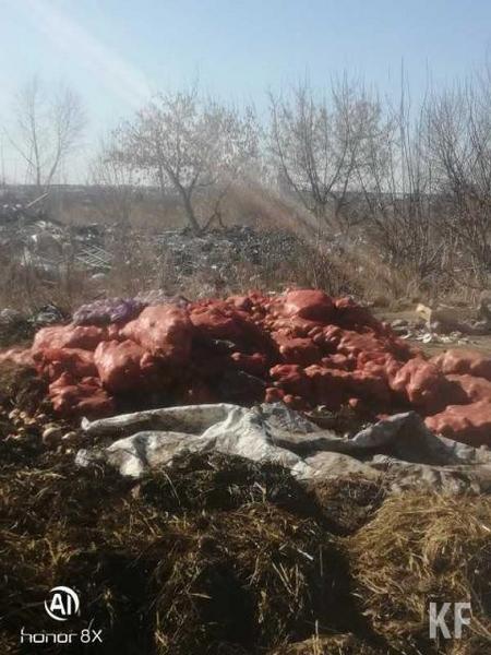 Жителям села в Нижнекамском районе не дает нормально жить местный Плюшкин