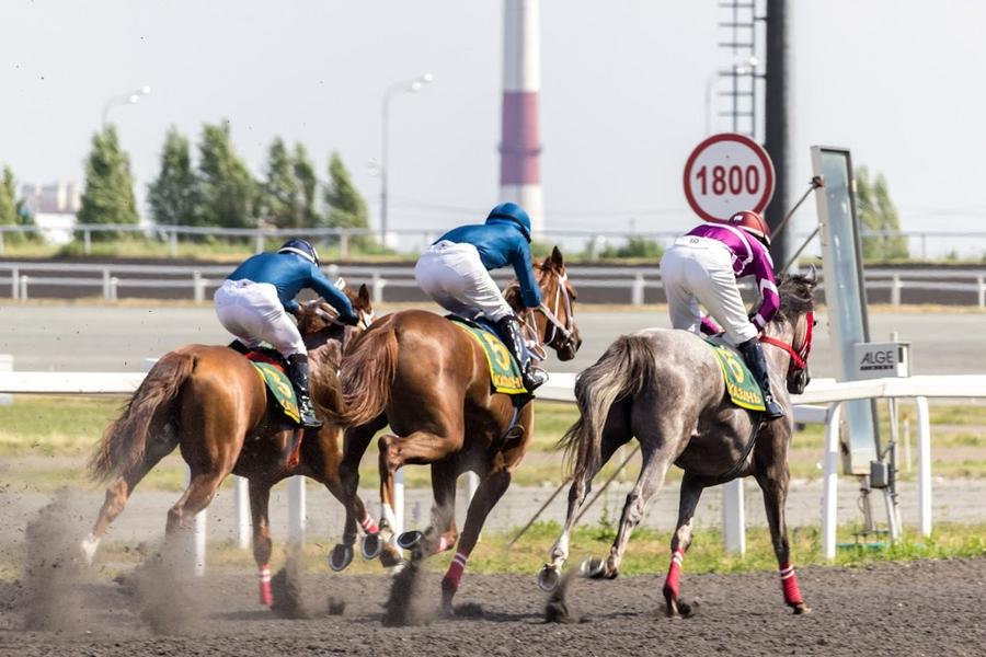 «Для татар отсутствие лошадей в хозяйстве - самый настоящий позор»