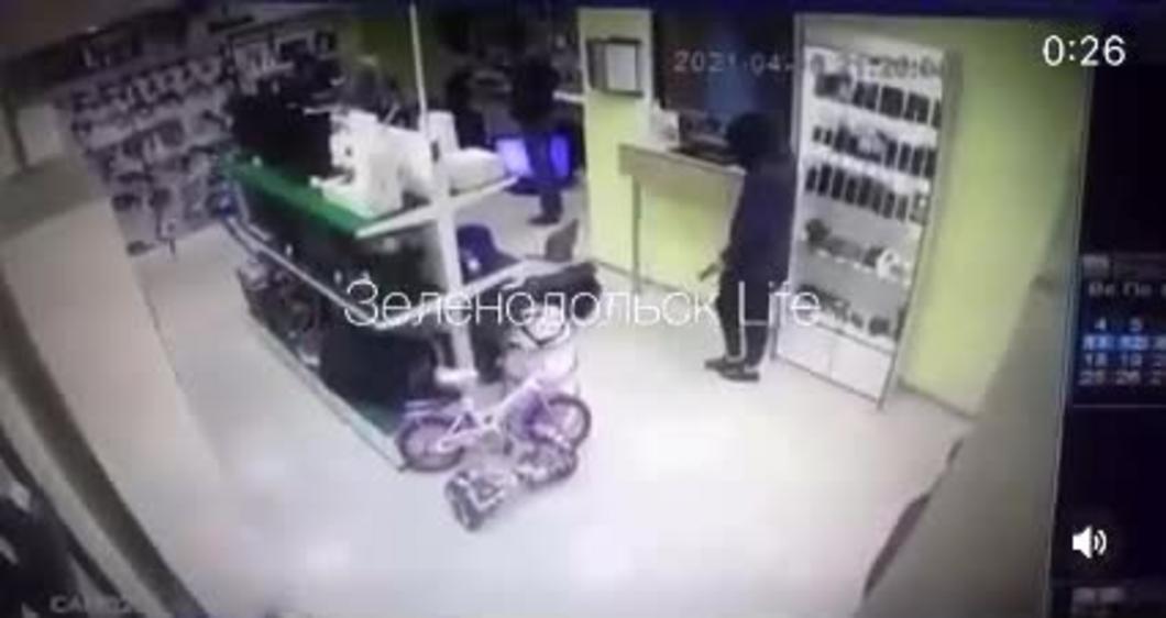 В Татарстане женщина украла из магазина настоящую кошку и попала на видео