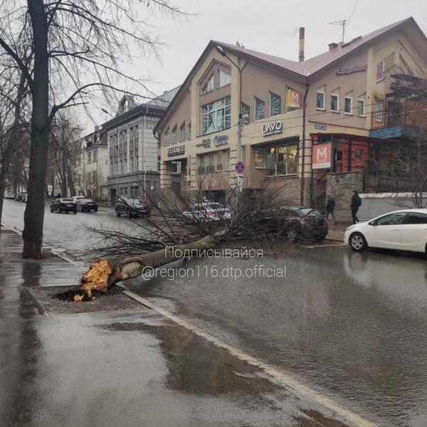 Поваленные деревья и светофор: первые последствия сильного ветра в Казани
