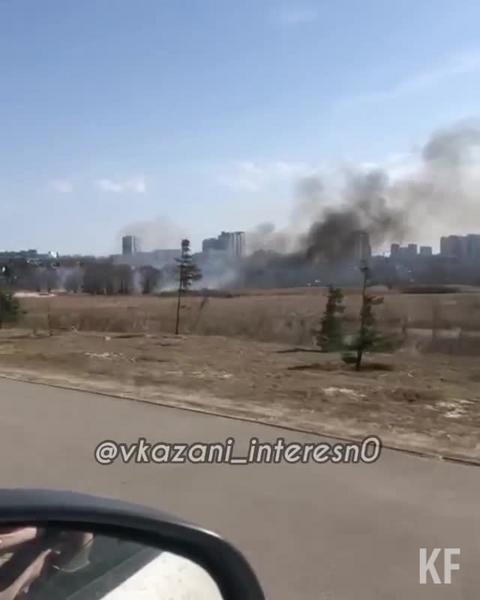 Возле «Ак Барс Арены» в Казани горят камыши