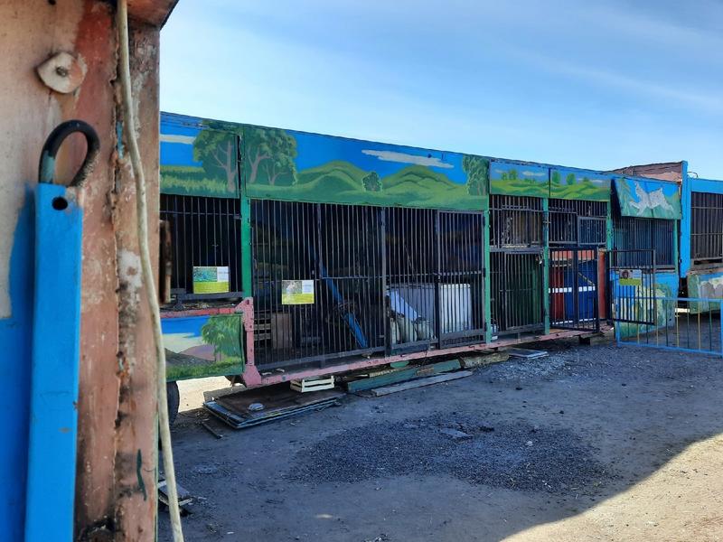 Специалистам Россельхознадзора направили жалобу на передвижной зоопарк в Челнах