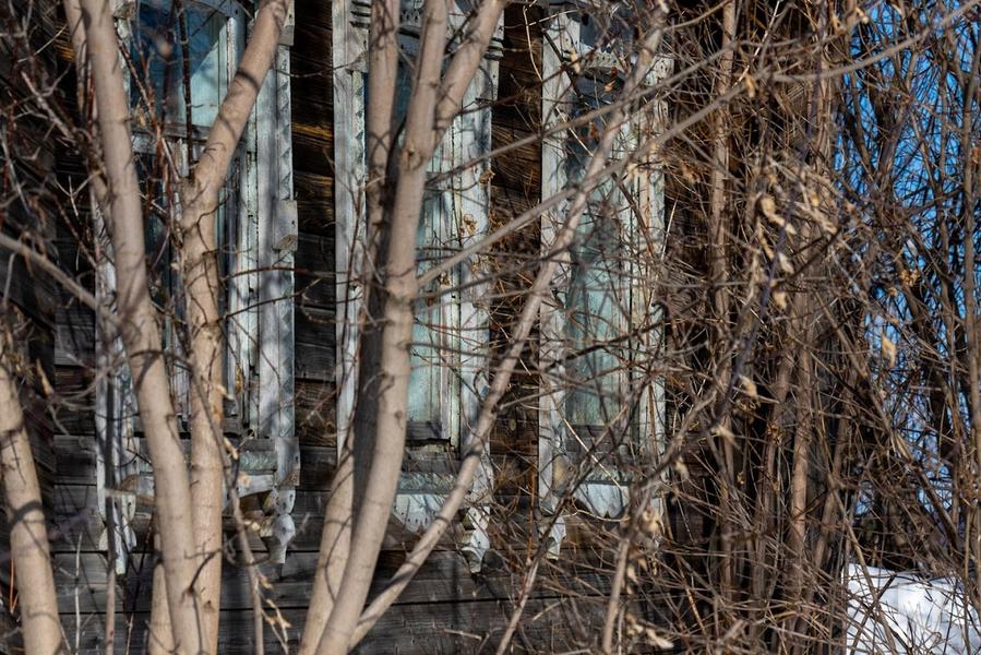 Нижнекамка пожаловалась на варварскую вырубку деревьев Нижнекамка пожаловалась на варварскую вырубку деревьев