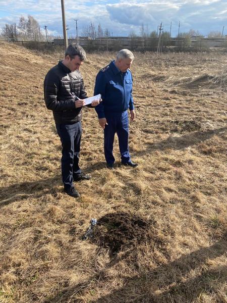 В Татарстане стая собак напала на 11-летнего мальчика