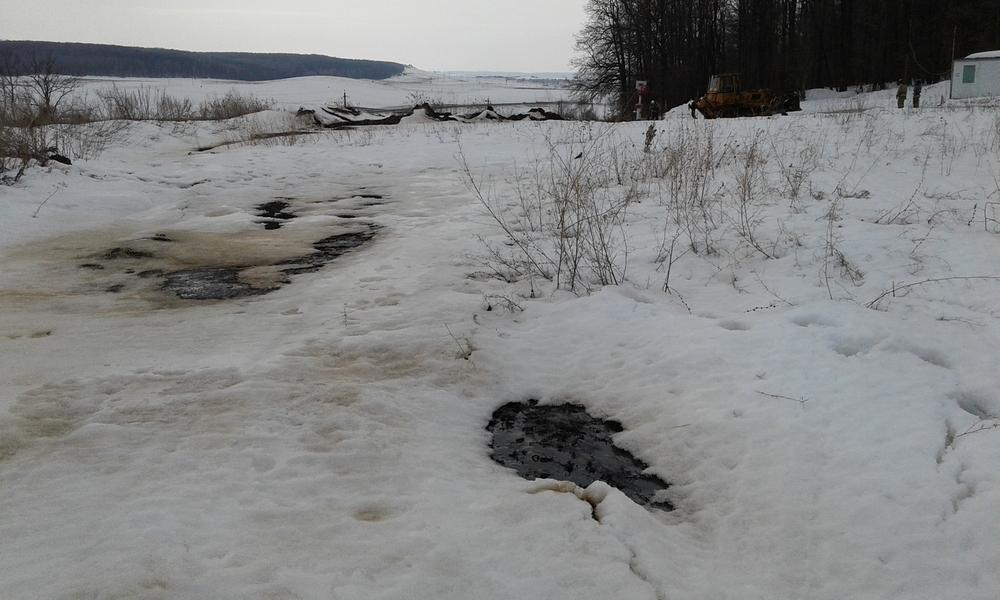 Разлив нефти в Альметьевском районе: ждут ли экологию негативные последствия?