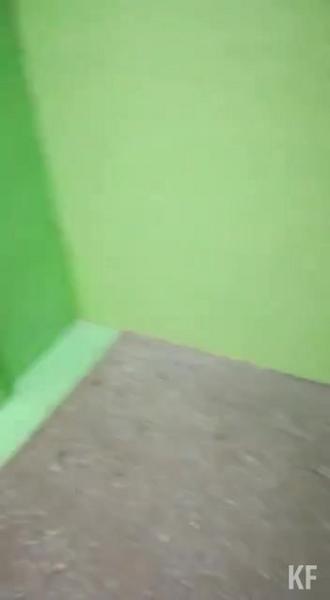 Новый скандал в школе 143 Казани: вместо капремонта заплесневевшие стены обшили фанерой