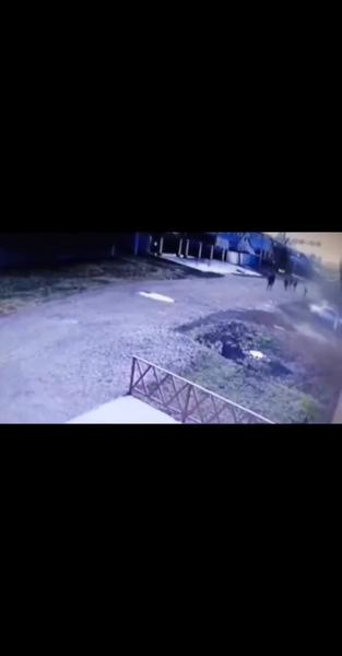 В Бугульме поймали банду подростков, на спор швырявших камни в дома