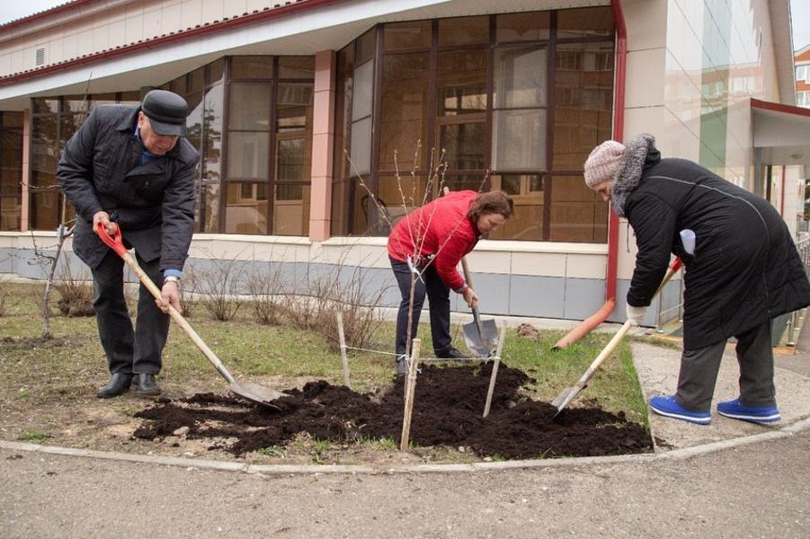 Владимир Вавилов посадил дерево у хосписа в память о погибшей дочери