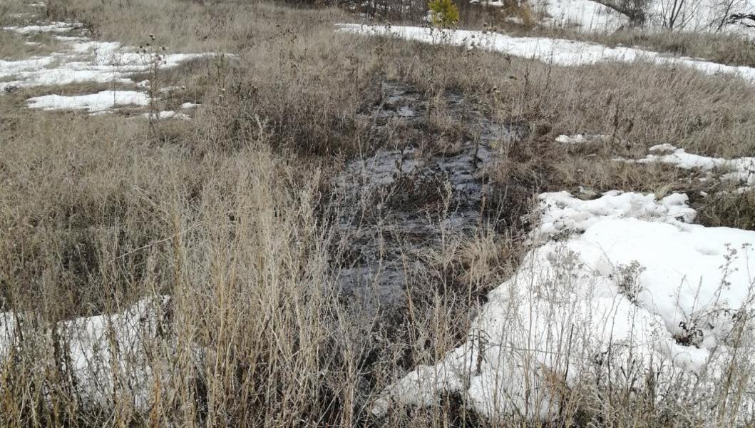 В Альметьевском районе нефть вышла из-под снега В Альметьевском районе нефть вышла из-под снега