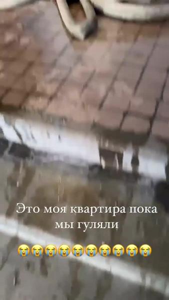 При пожаре в Челнах погиб кот известного фотографа