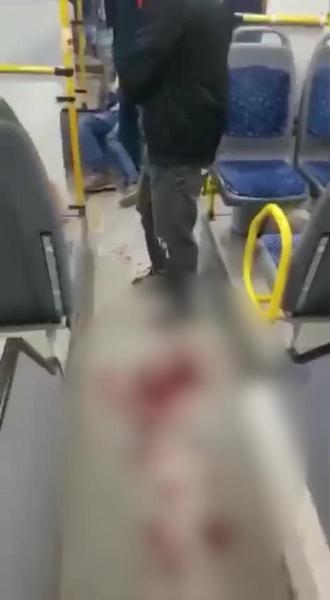 Бастрыкин поручил доложить об обстоятельствах нападения на кондуктора в троллейбусе Казани Бастрыкин поручил доложить об обстоятельствах нападения на кондуктора в троллейбусе Казани
