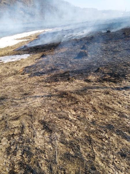 За придорожным кафе в Нижнекамском районе горело поле на 500 кв.м