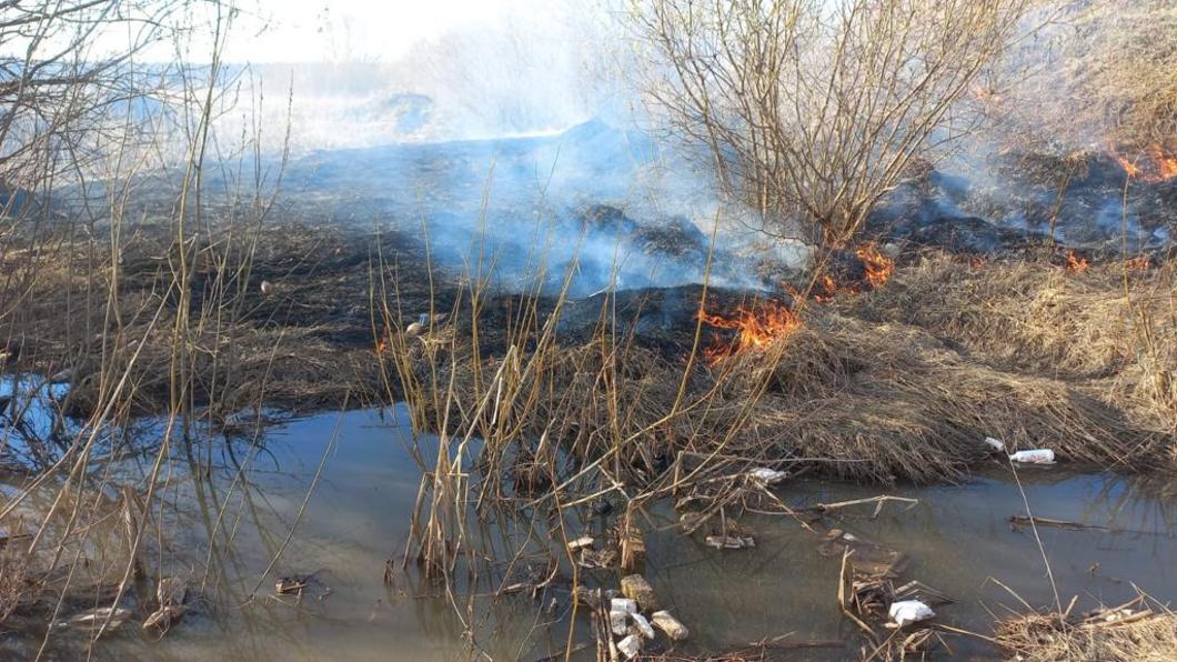 За придорожным кафе в Нижнекамском районе горело поле на 500 кв.м