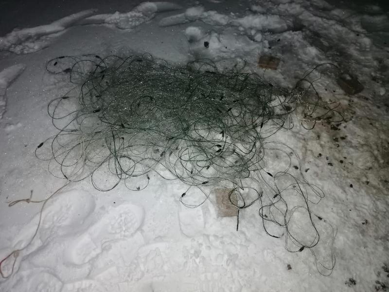 В Лаишевском районе Татарстана задержан браконьер с рыболовной сетью