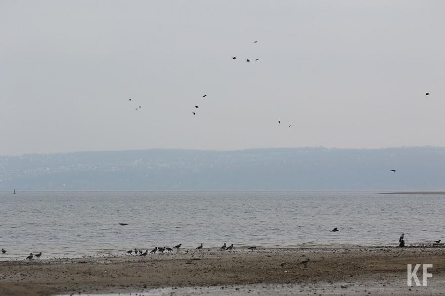 «Надо было организации заранее собрать все нефтепродукты, до паводка и таяния снега»