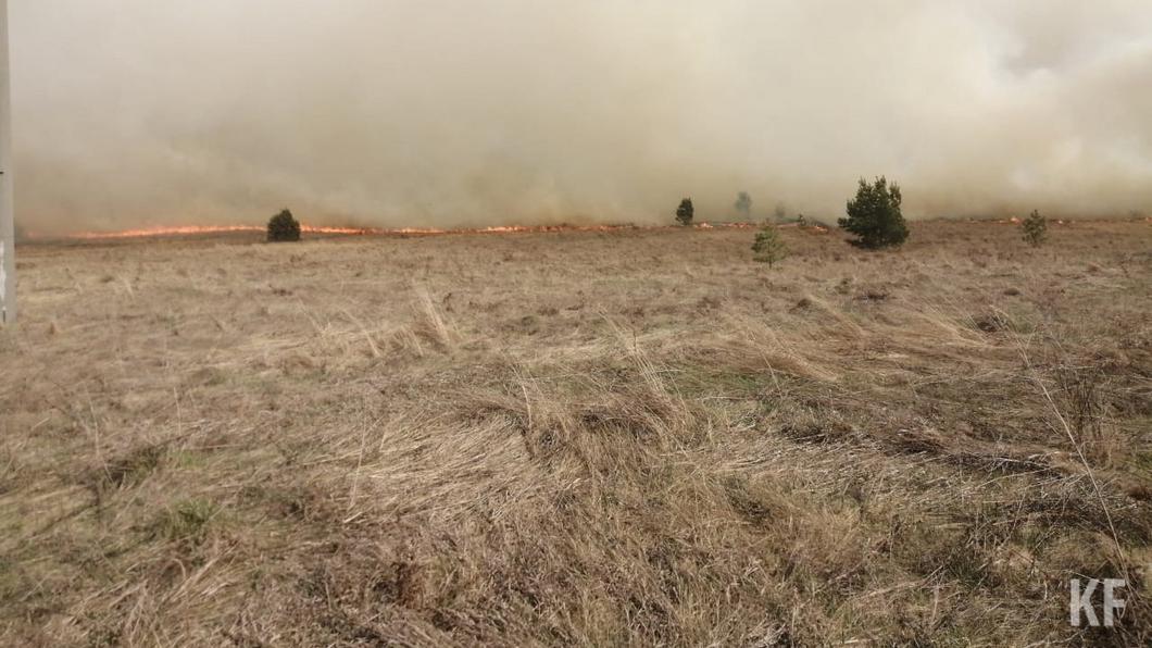 Сжигателей травы в особый противопожарный режим в Нижнекамском районе будут искать с воздуха