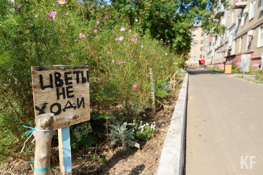 Деревья или парковки: в Казани эксперты поспорили о логике развития дворов