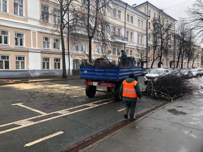 Проезд на Дзержинского в Казани перегородило упавшее дерево