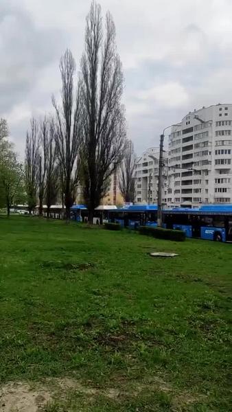На месте взрыва в Белгороде найдена вторая авиабомба, эвакуируют более трех тысяч человек