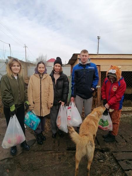 Волонтеры «Нижнекамскнефтехима» навестили питомцев в приюте и помогли работникам навести порядок