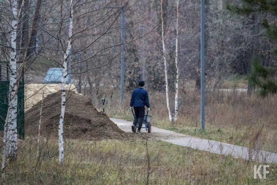 «Лето в этом году будет напряженным»: в Татарстане выросло число лесных пожаров