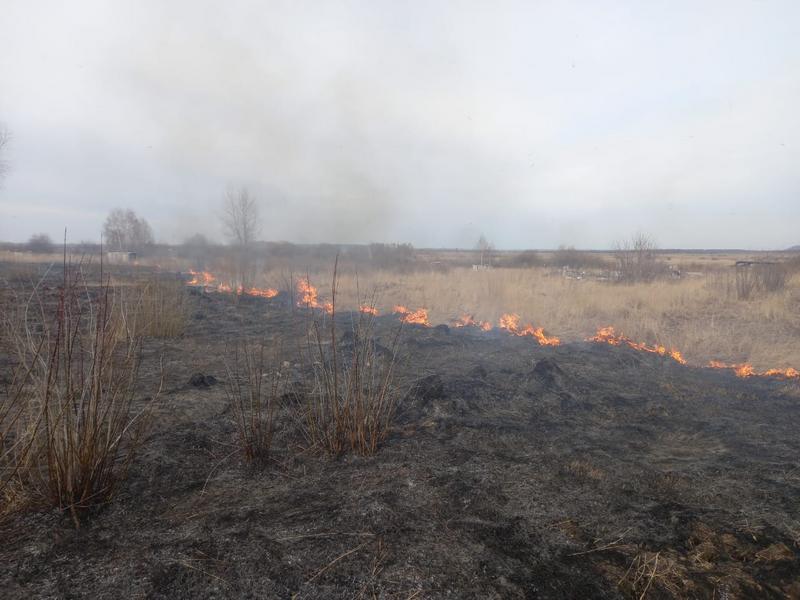 В Нижнекамске и районе с начала схода снега поля горели 29 раз